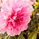 아파트 Waidmannsheil - 67qm By Interhome *