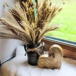 Waidmannsheil - 67qm By Interhome 아파트 레오강