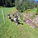 Waidmannsheil - 67qm By Interhome