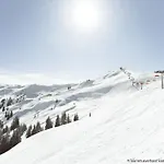 Waidmannsheil - 67qm By Interhome Leogang
