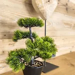 Waidmannsheil - 67qm By Interhome 레오강