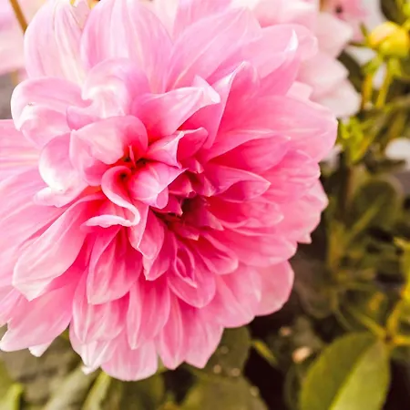 Apartment Waidmannsheil - 67qm By Interhome *