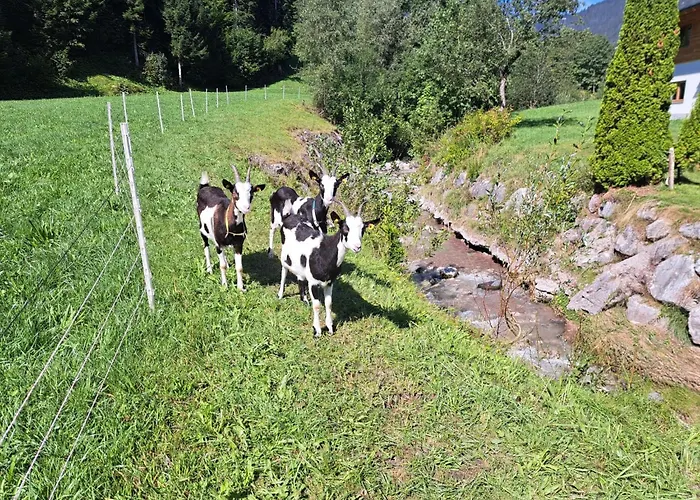 Waidmannsheil - 67qm By Interhome