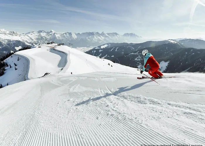 Waidmannsheil - 67qm By Interhome Apartment Leogang
