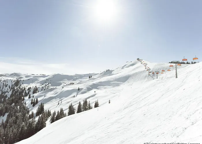 Waidmannsheil - 67qm By Interhome Leogang