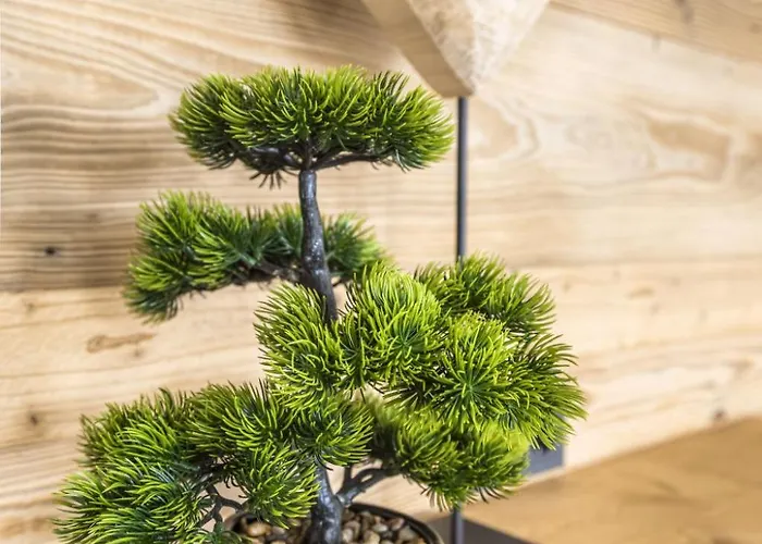 Waidmannsheil - 67qm By Interhome Leogang